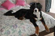 Chelsea: Missing since January 2011