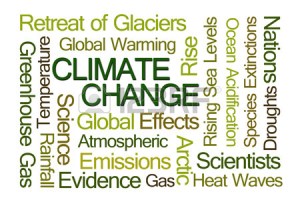 46106885-climate-change-word-cloud-on-white-background[1]